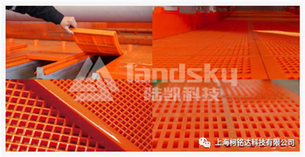 app-new8 aplicación-new8